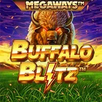 buffalo blitz